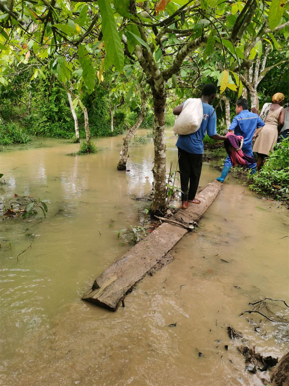 品质恒峰g22，，，，，专心折务！恒峰g22智能效劳万里行活动走进非洲加纳